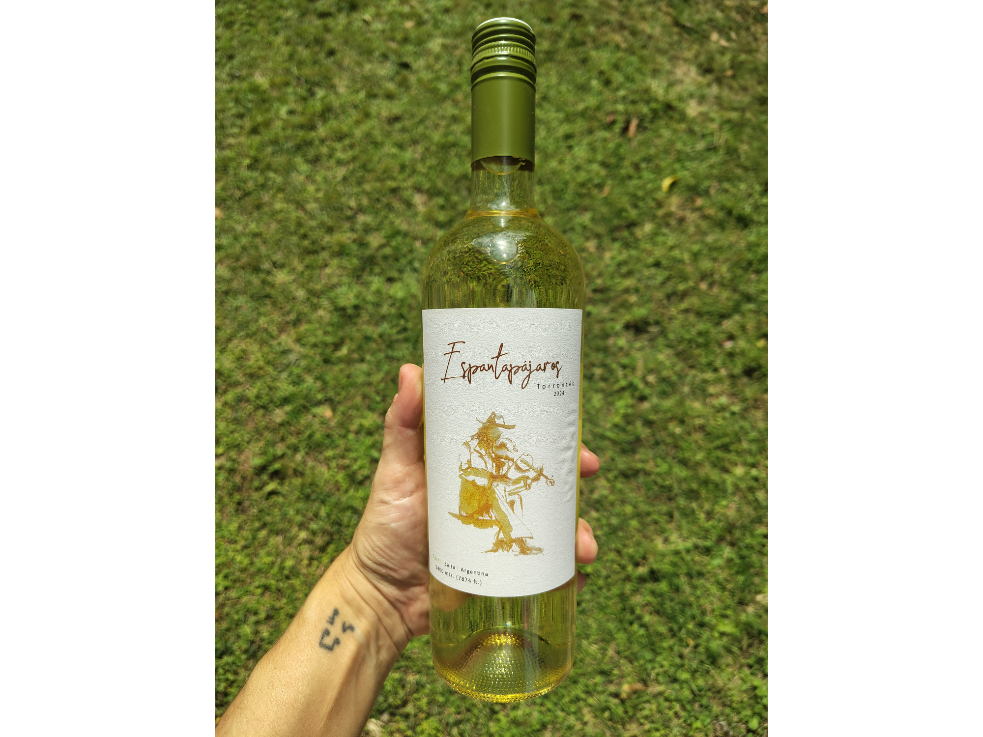 ESPANTAPAJAROS | Torrontes