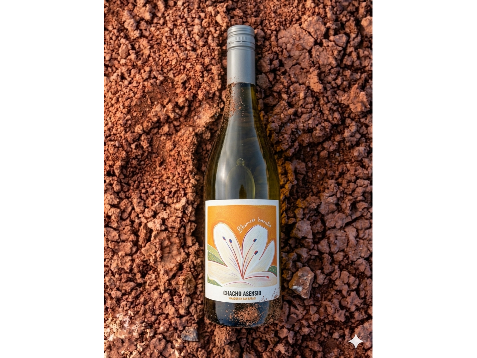 CHACHO ASENSIO | Moscatel Blanco de Terruño Casa de Vinos