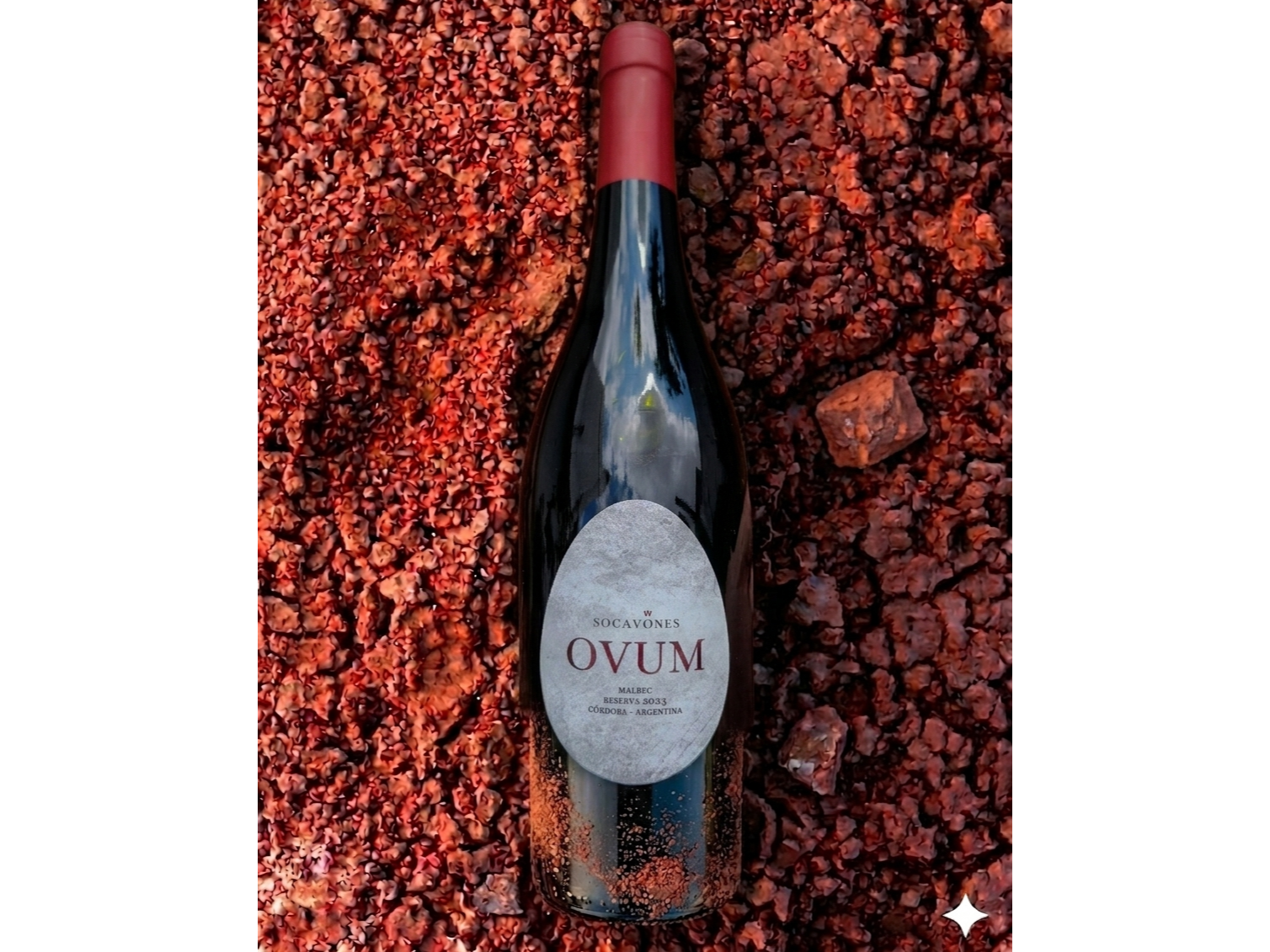 OVUM | Malbec