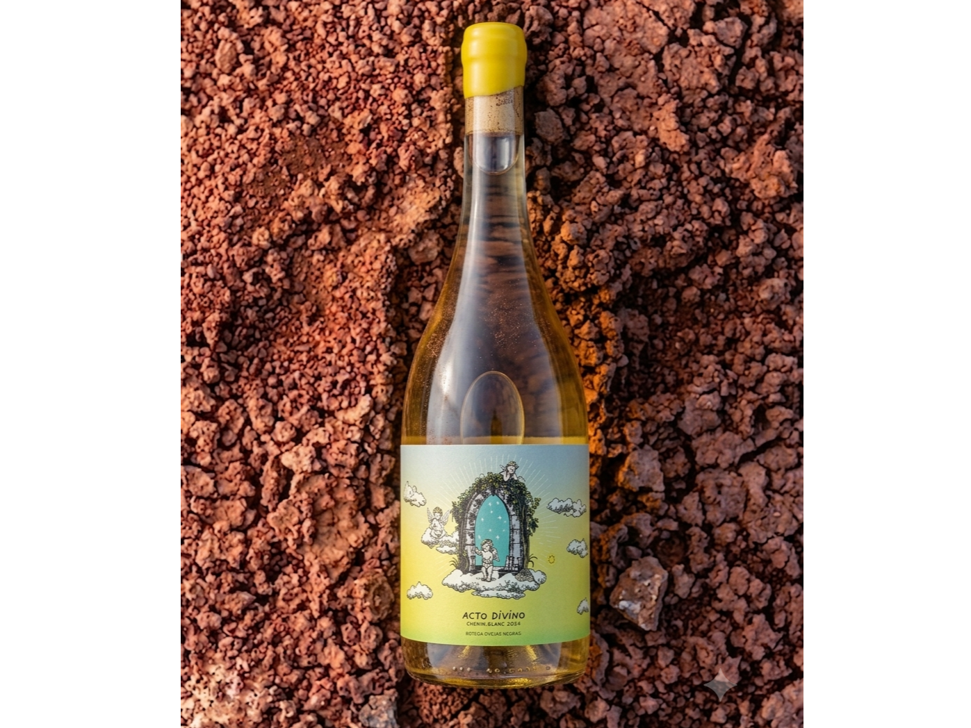 ACTO DIVINO | Chenin Blanc