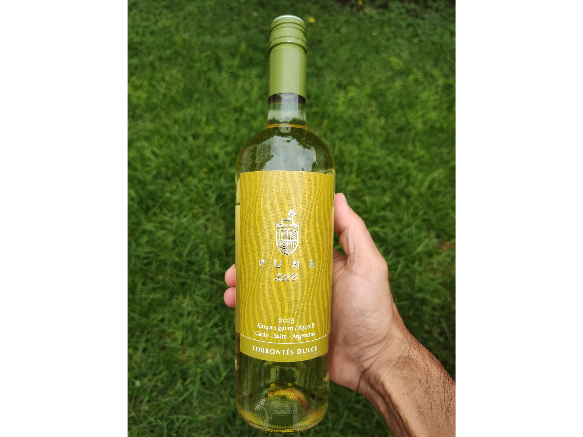 PUNA 2600 | Torrontes Dulce