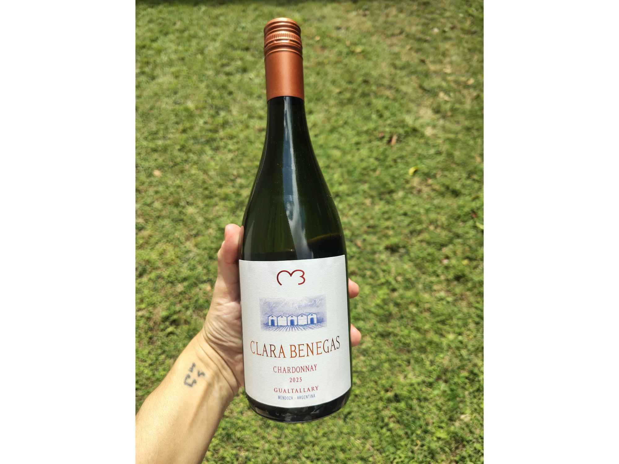 CLARA BENEGAS | Chardonnay