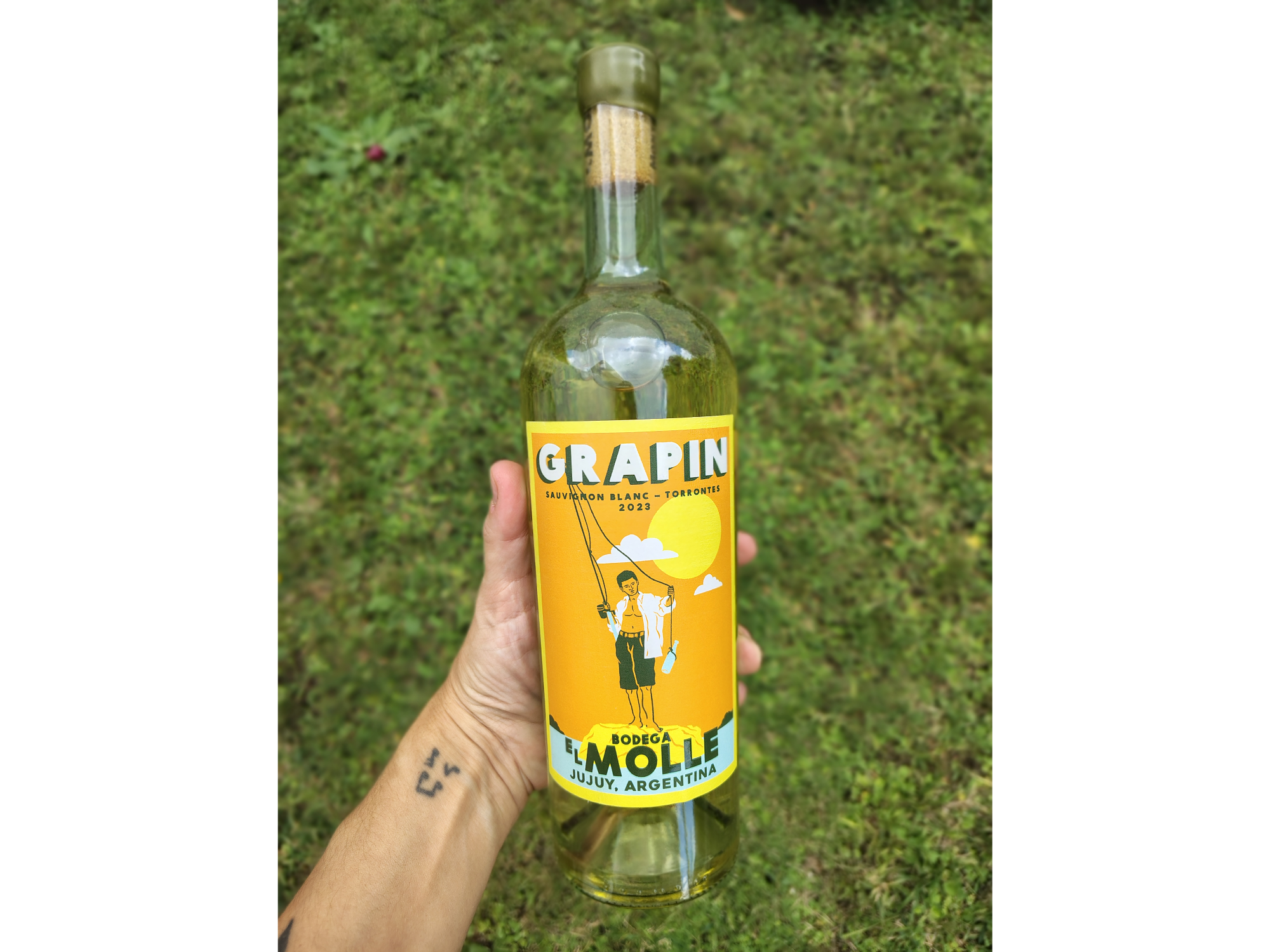 GRAPIN | Sauvignon Blanc - Torrontes