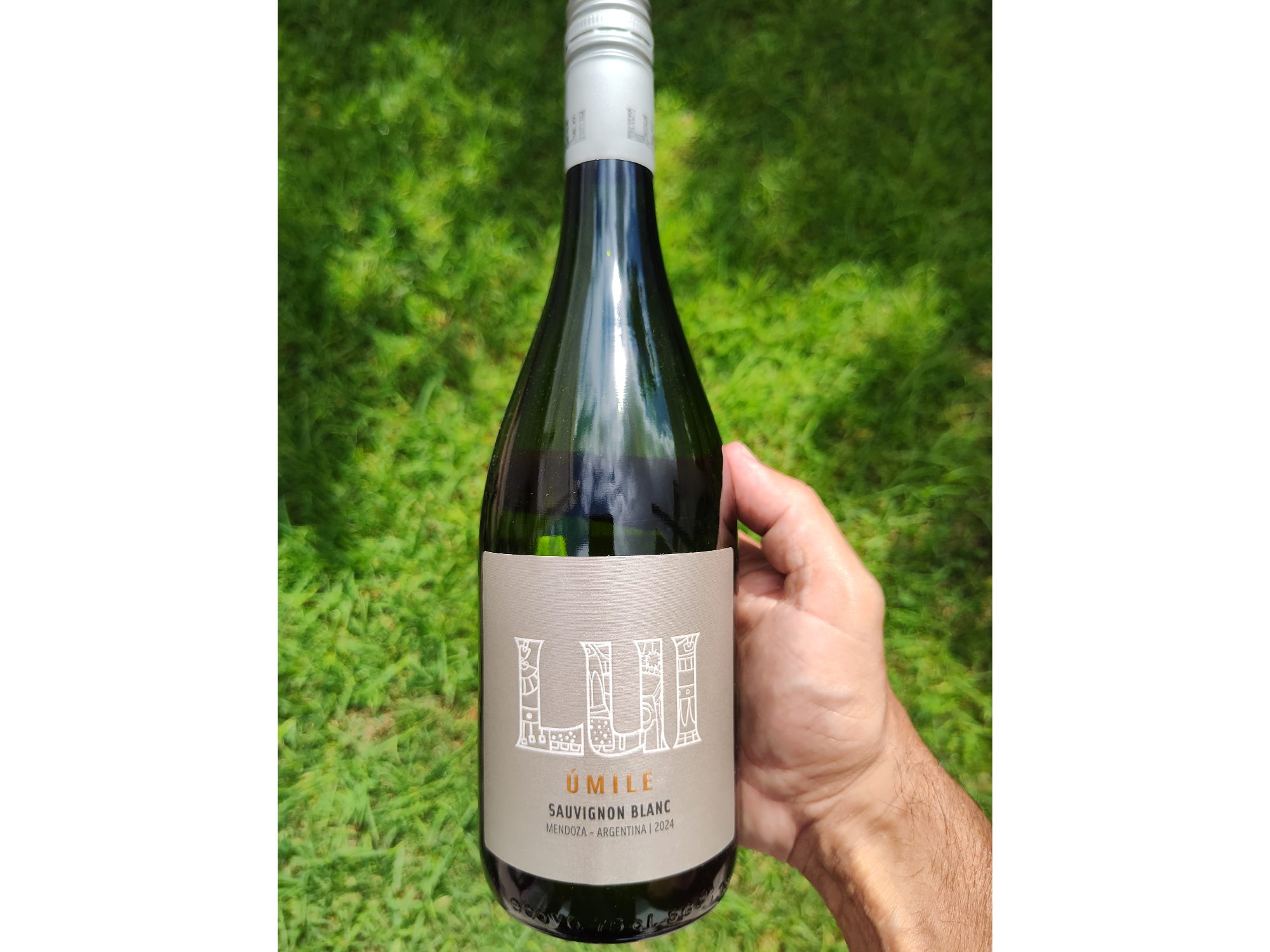 LUI UMILE | Sauvignon Blanc