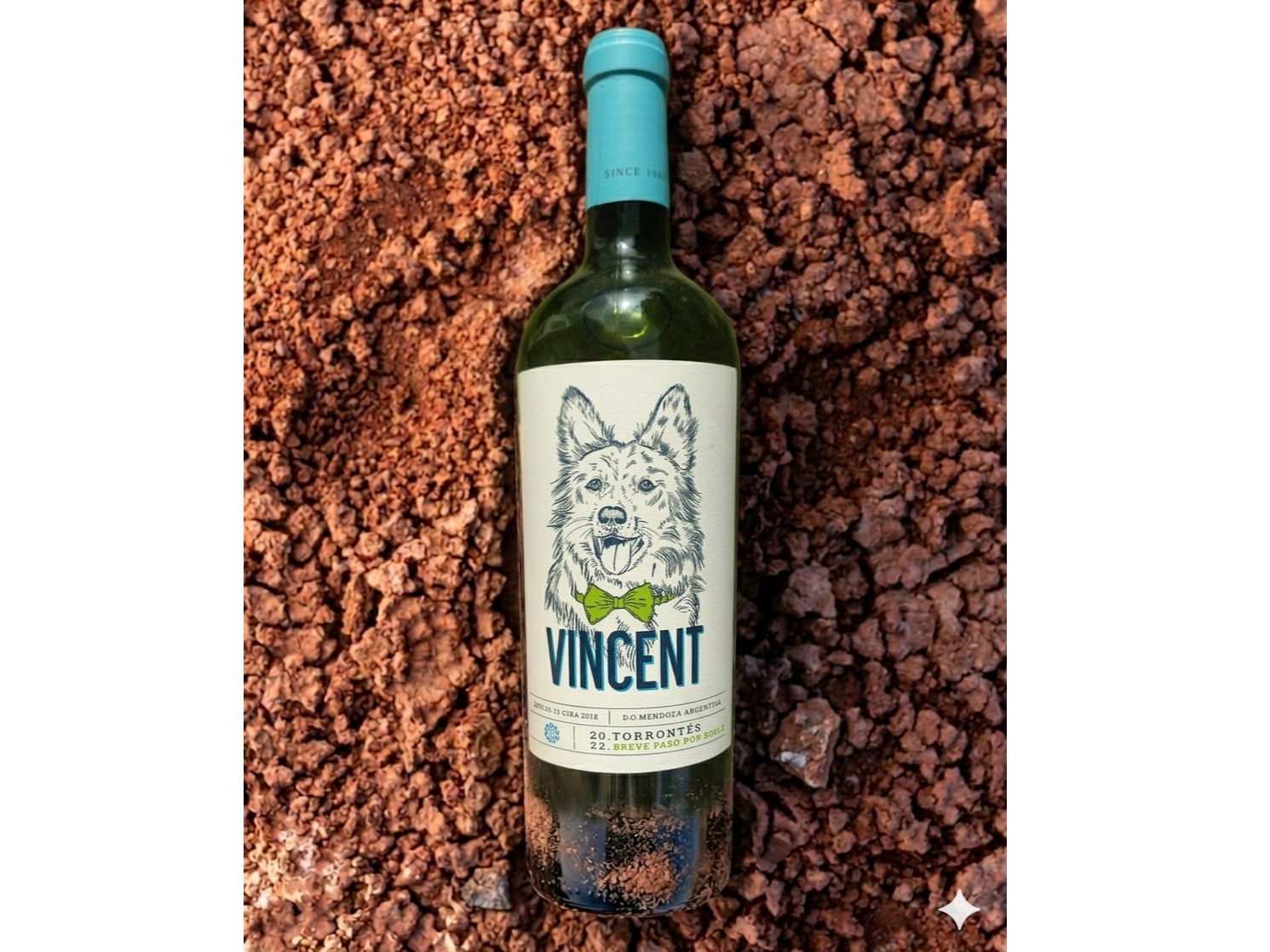 VINCENT | Torrontes