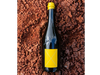 STELLA CRINITA | Barbera