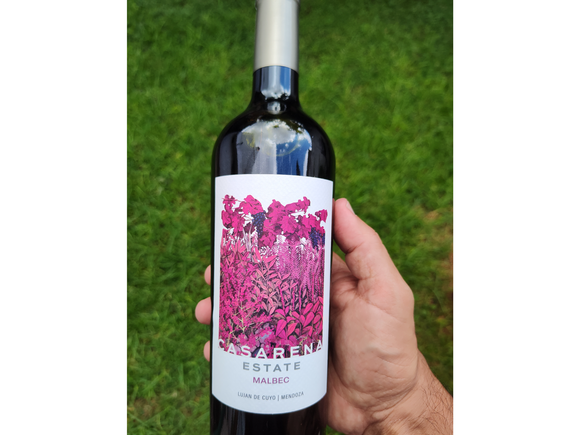 Club terruño | Especial tintas