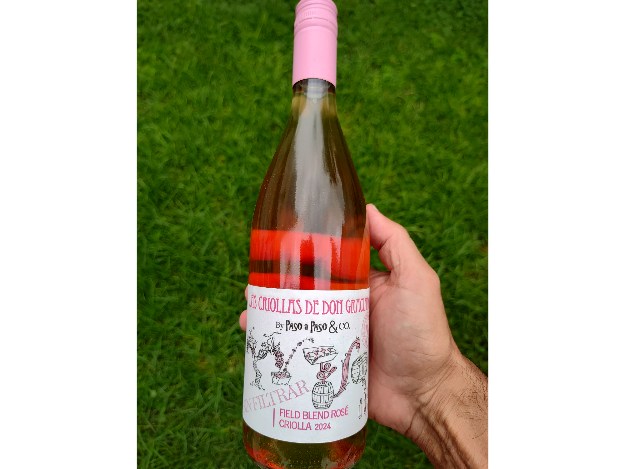 LAS CRIOLLAS DE DON GRACIANO | Rosado