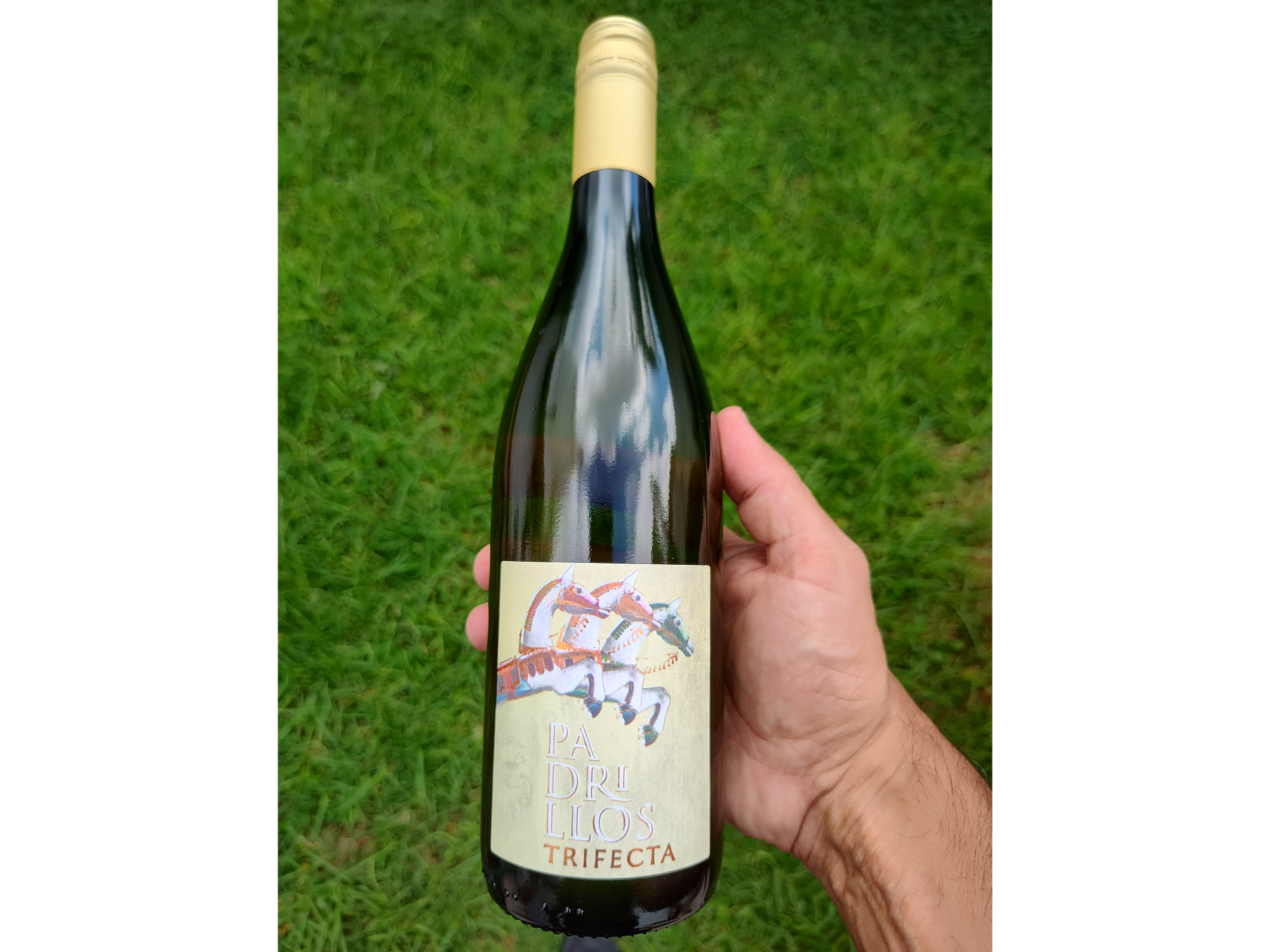 PADRILLOS | Blend Blanco