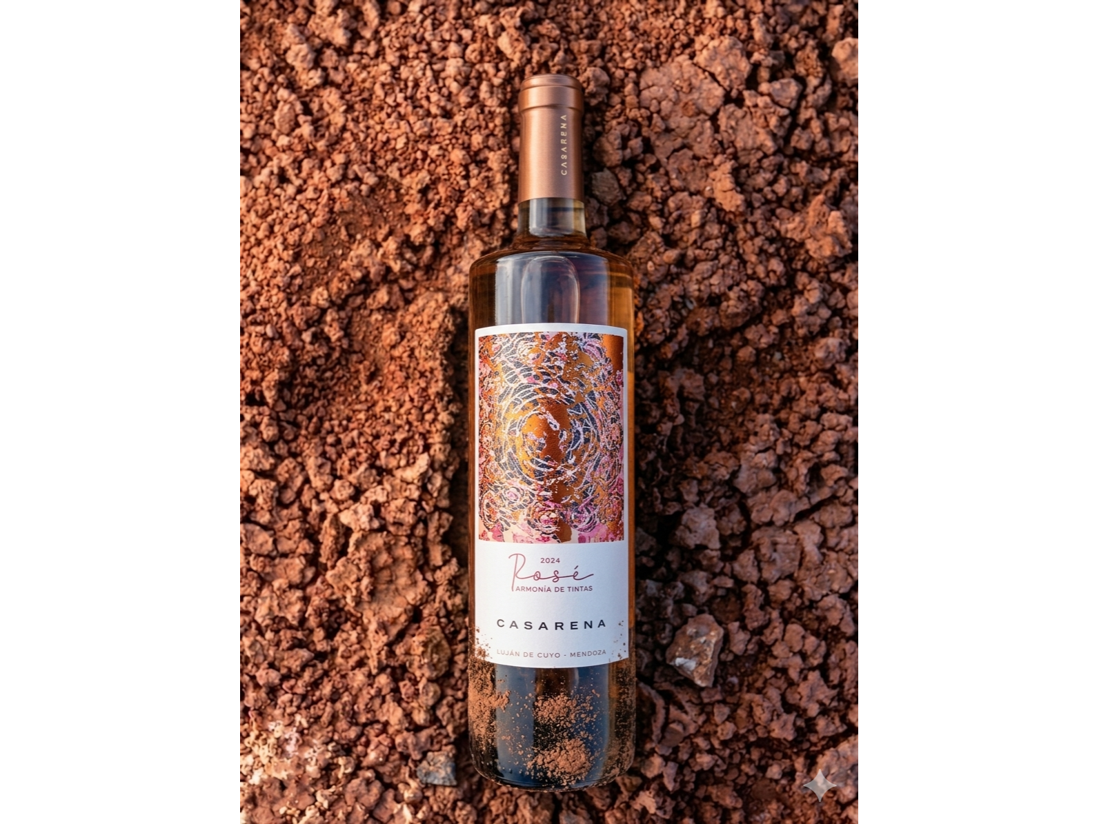 CASARENA ARMONÍA DE TINTAS | Syrah - Pinot Noir - Merlot
