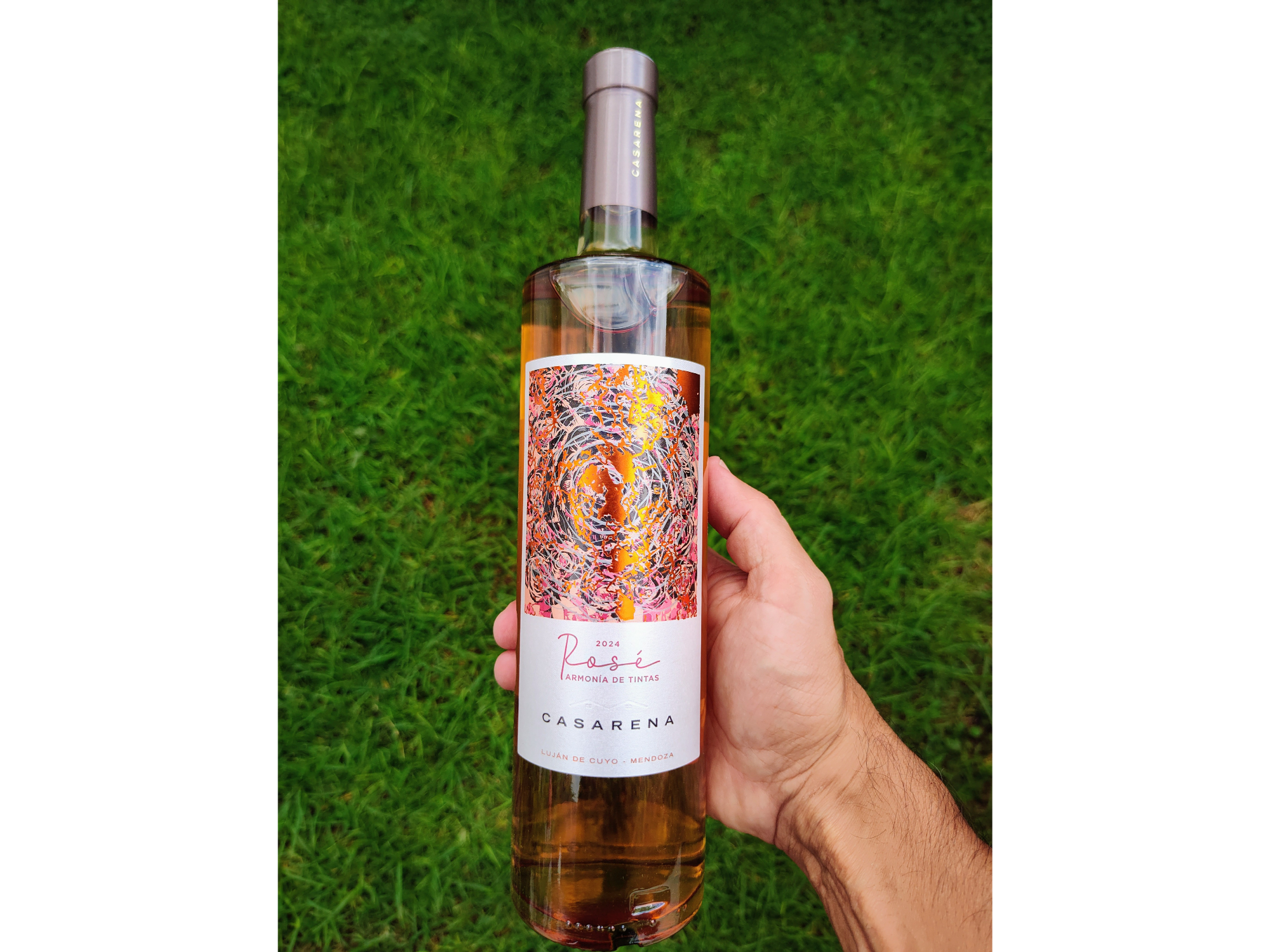 CASARENA ARMONÍA DE TINTAS | Syrah - Pinot Noir - Merlot