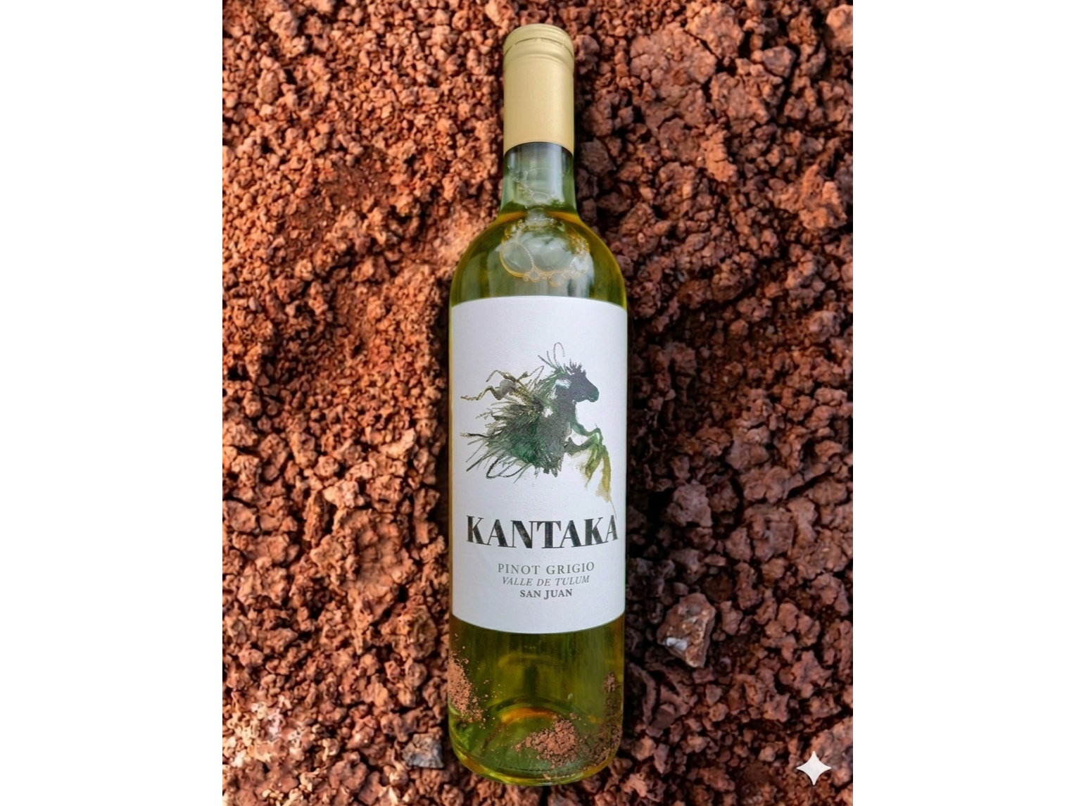 KANTAKA WINES | Pinot Grigio