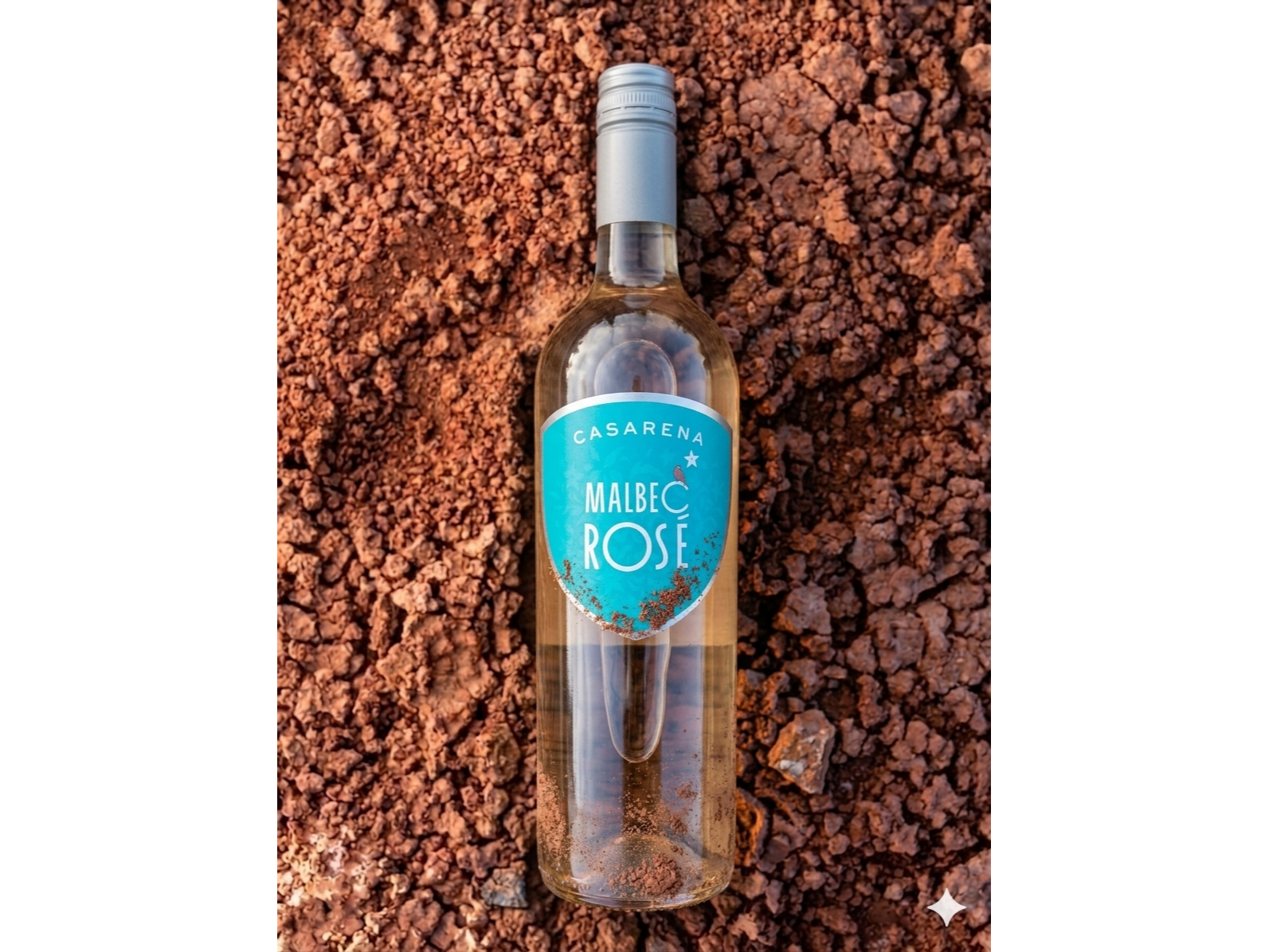 CASARENA | Rosado de Malbec