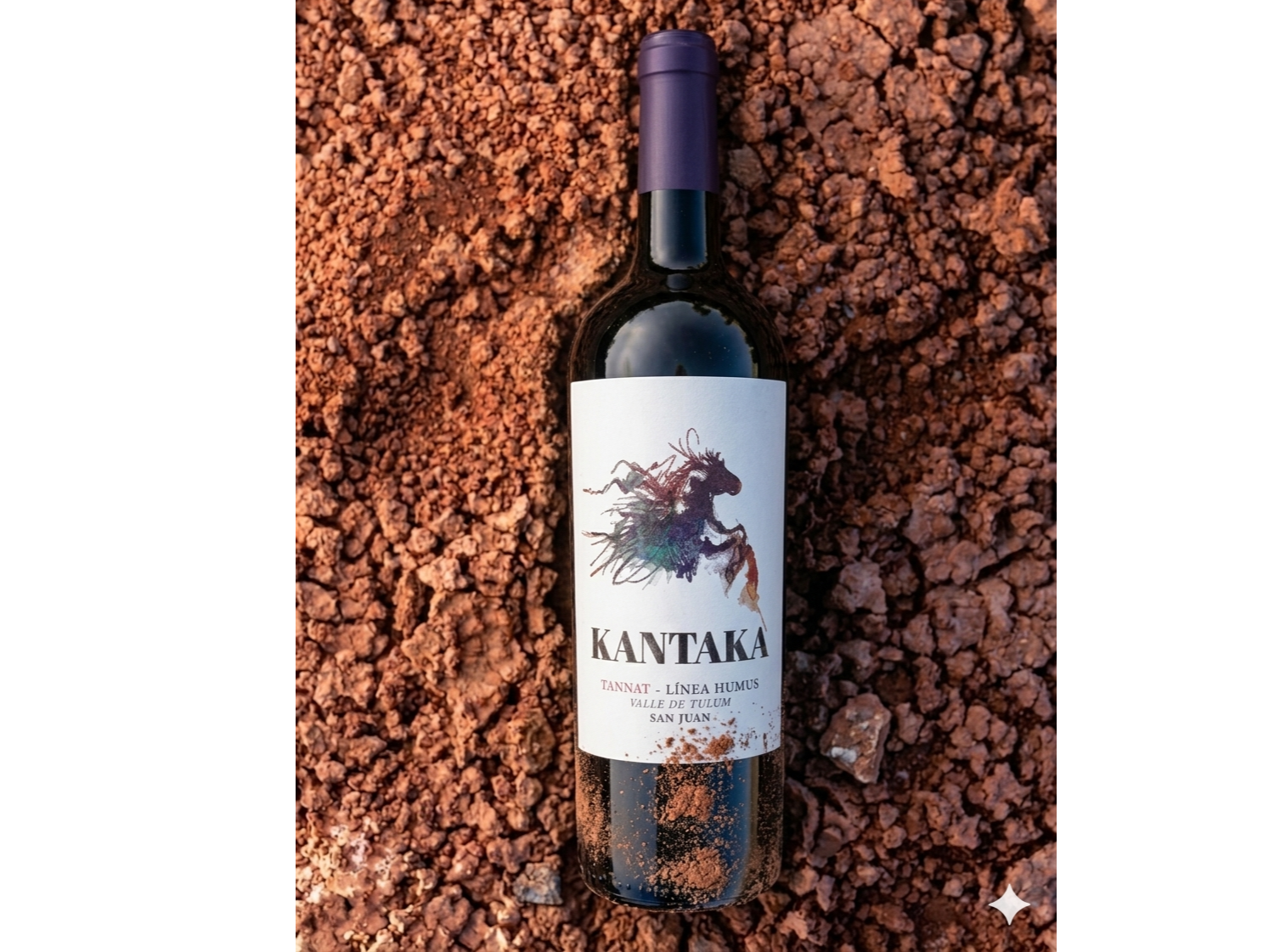 KANTAKA WINES | Tannat