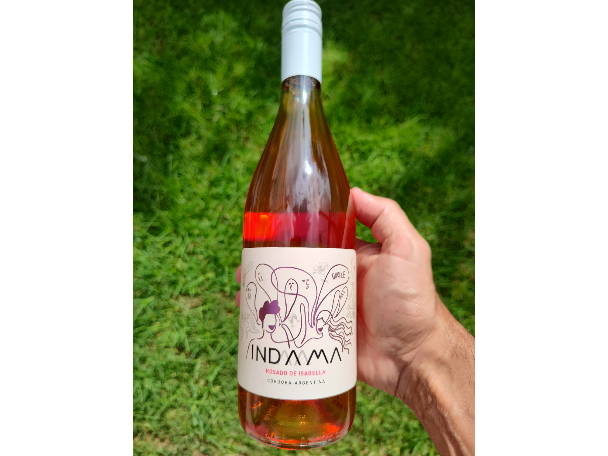 INDAMA | Rosado de Isabella