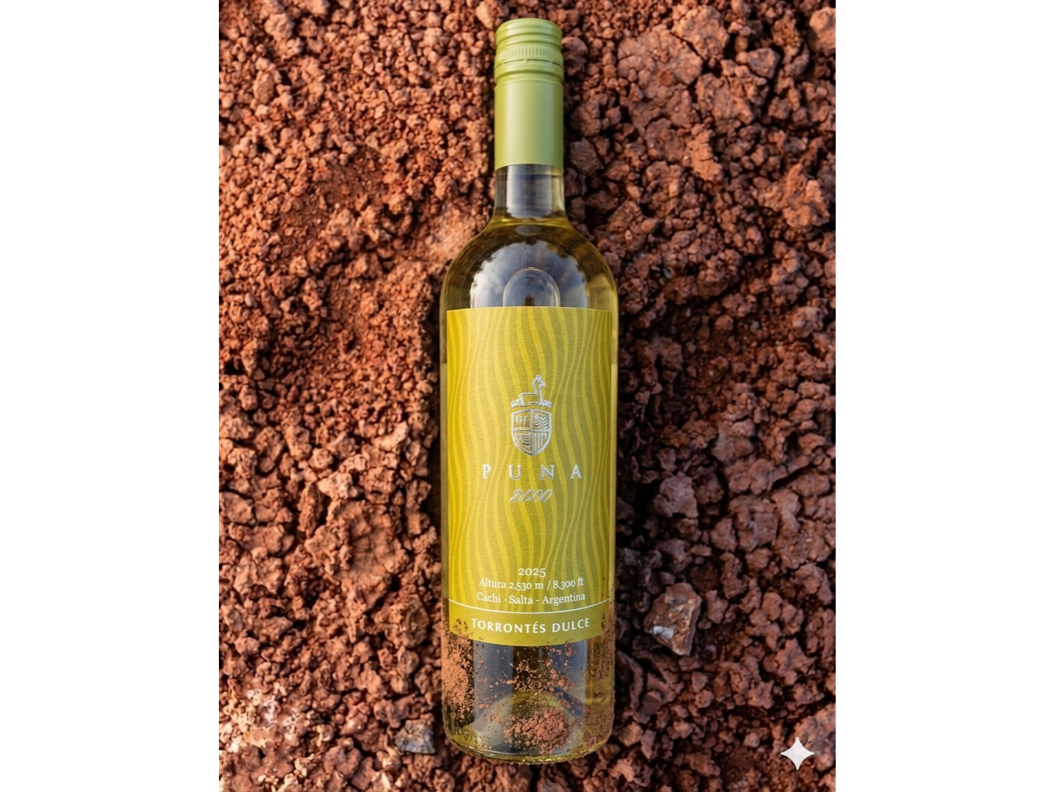 PUNA 2600 | Torrontes Dulce