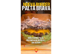 PALTA BRAVA