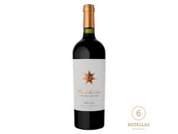 Clos de Los Siete 2020