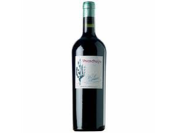 Yacochuya Malbec