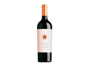 Clos de Los Siete 2015 de takeitbebidas