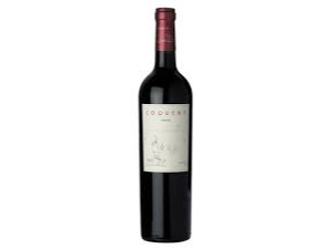 Coquena Malbec de takeitbebidas