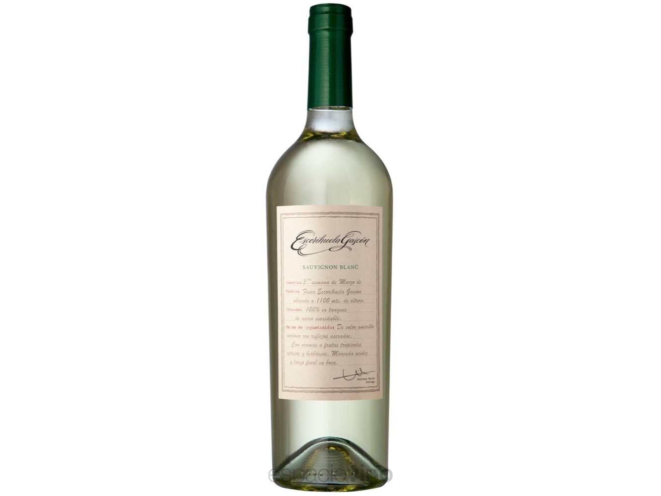 Escorihuela Sauvignon Blanc
