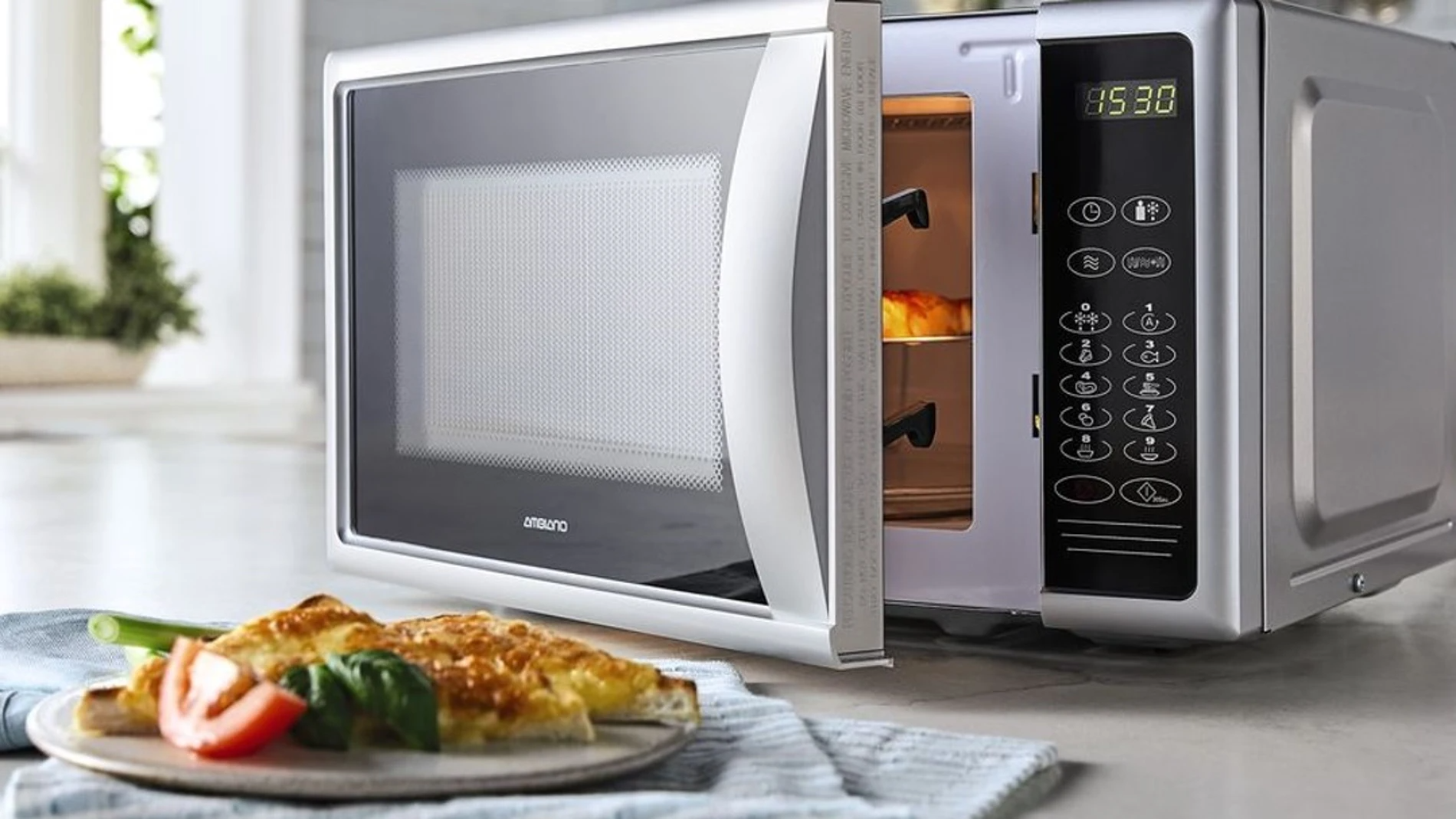 MICROONDAS y HORNOS ELECTRICOS