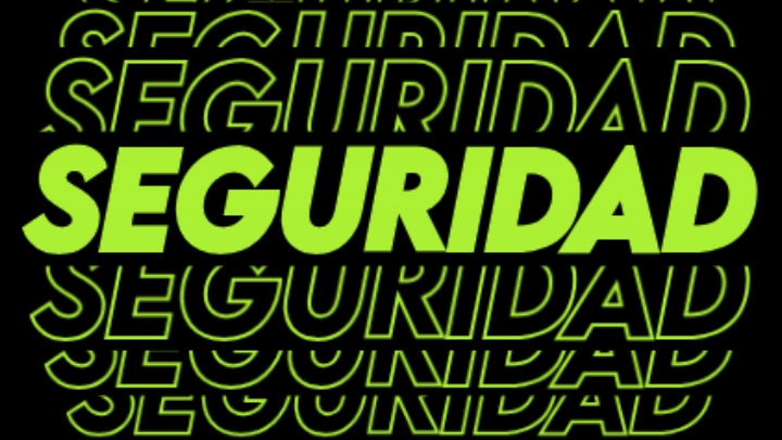 SEGURIDAD Y MAS