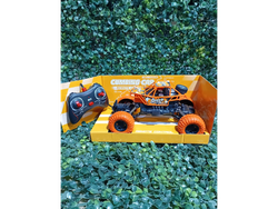 CANIONETA 4X4 CON CONTROL