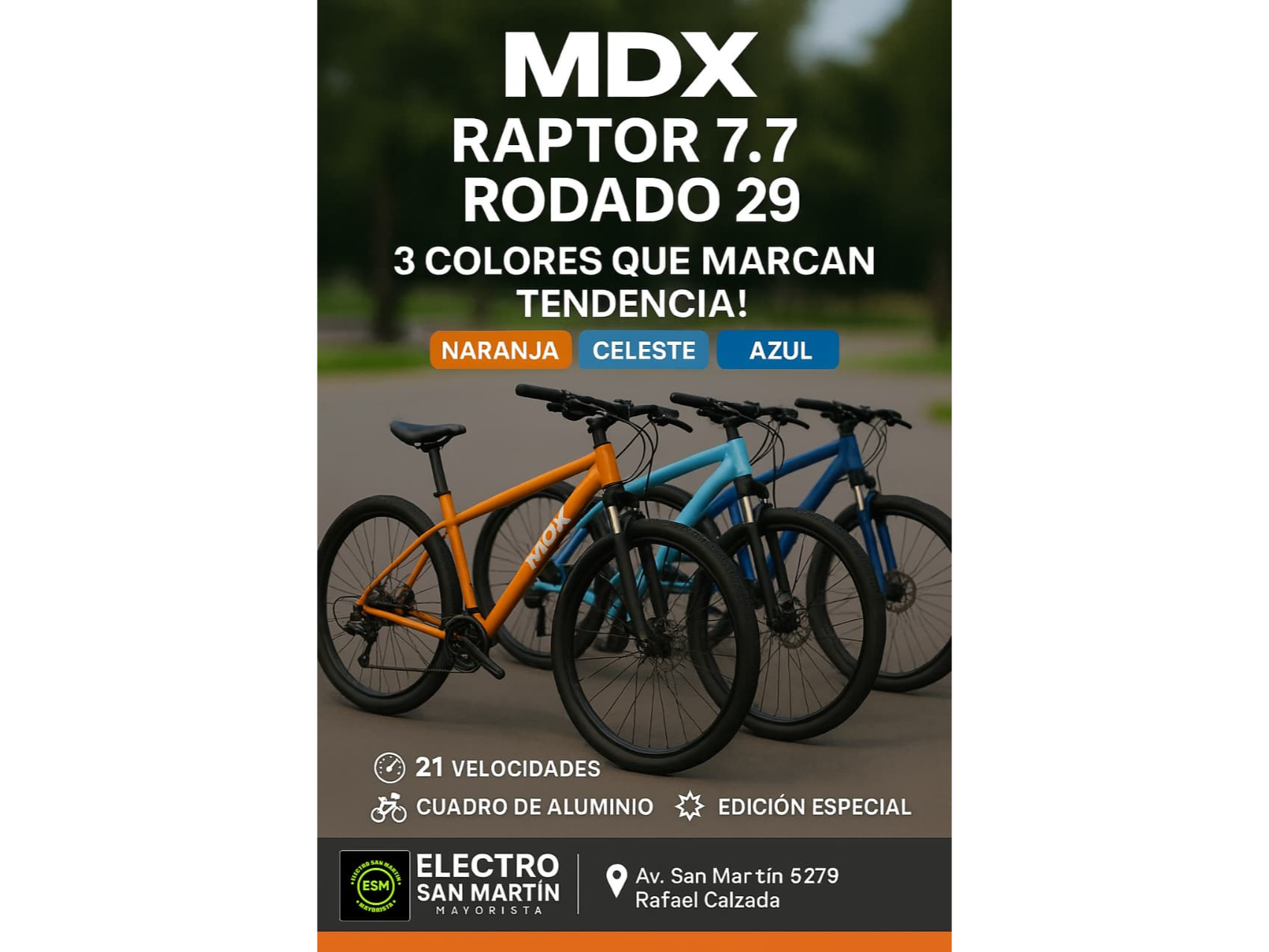 BICI ROD 29