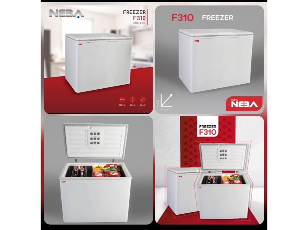 FREEZER NEBA 310