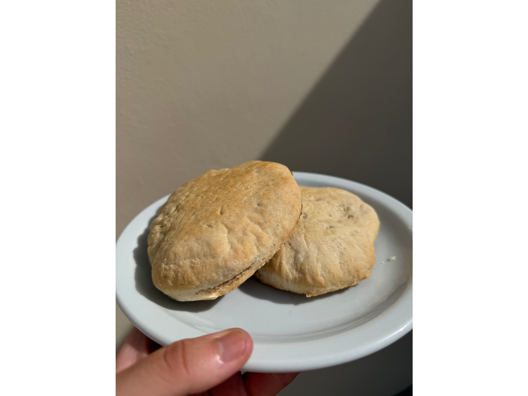 PAN DE HAMBURGESA O PAN ÁRABE