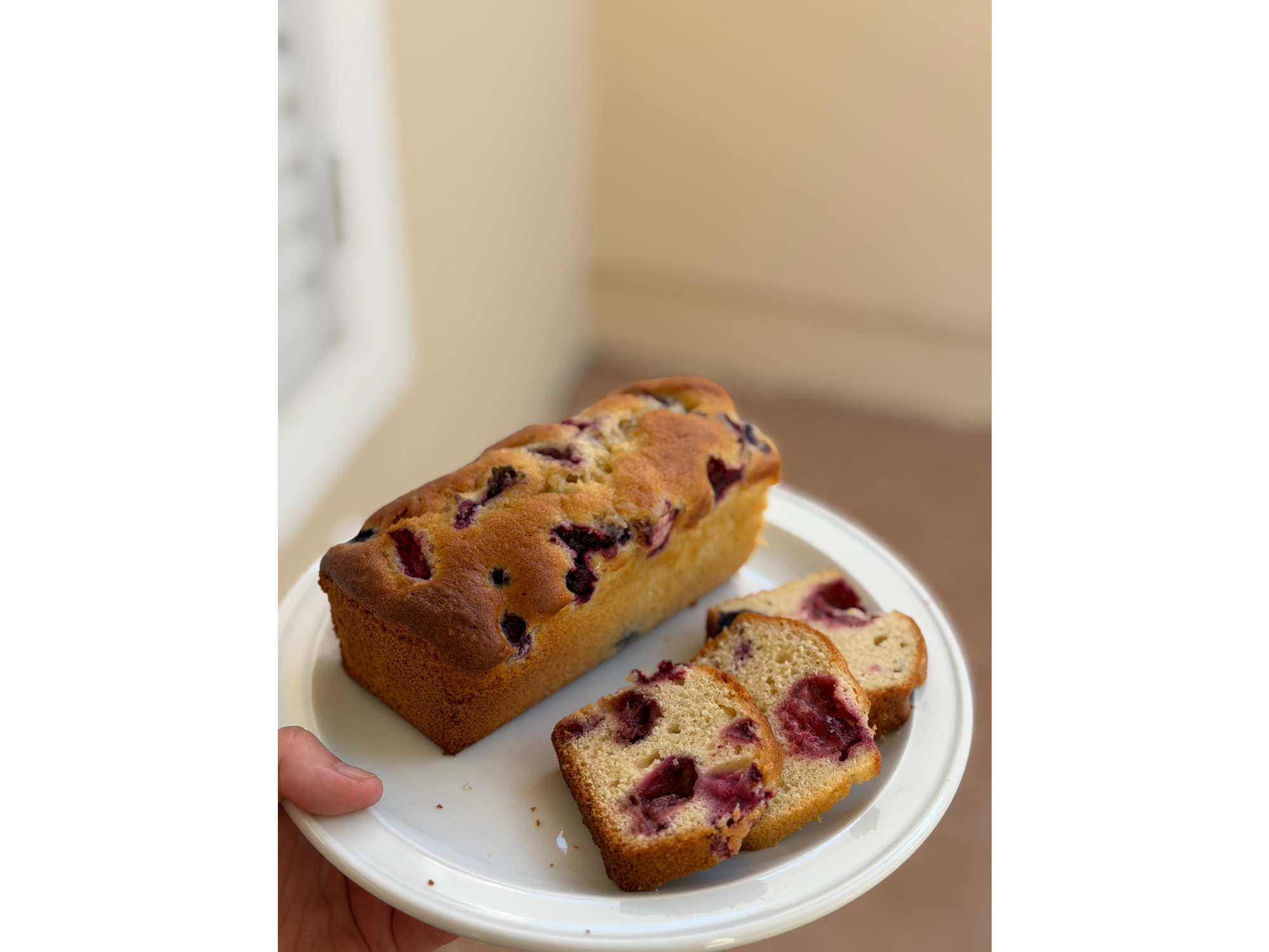 BUDÍN DE FRUTOS ROJOS