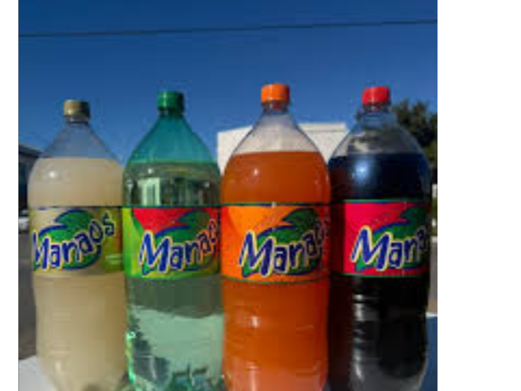 Manaos 3lst descartable
