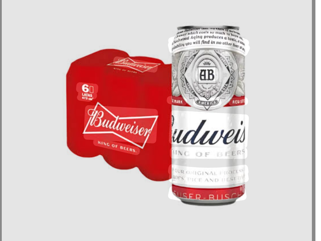 LATA BUWAISER 453ML