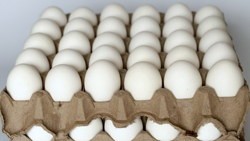 Huevos