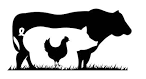 Logo Pollos & Derivados