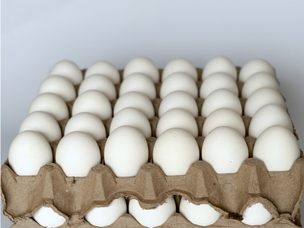 Huevo Blanco N3 x 1 carton