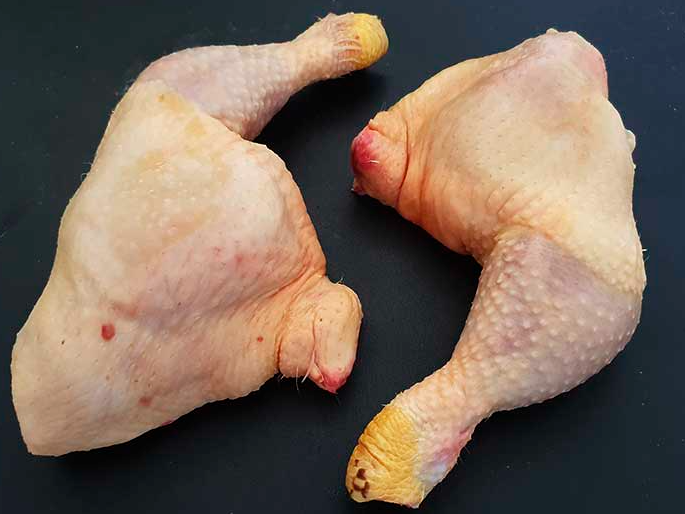 Pata Muslo