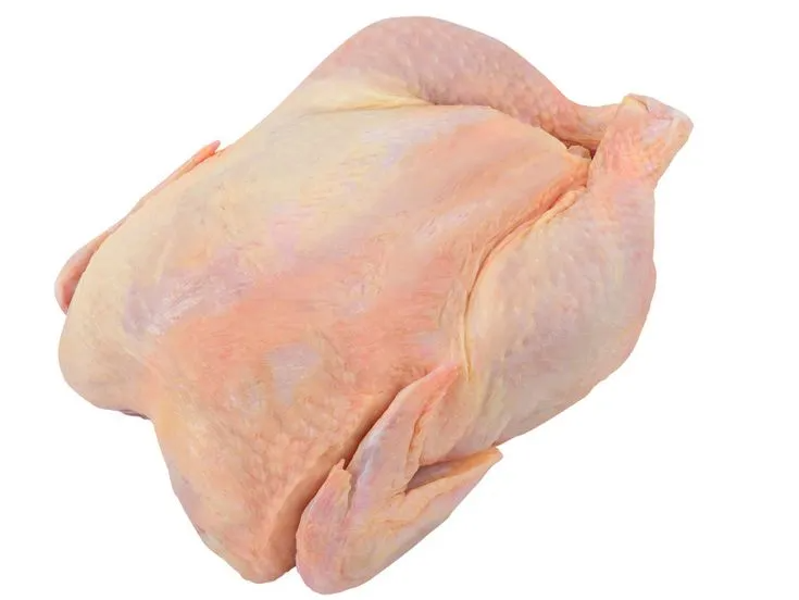 Pollo N8