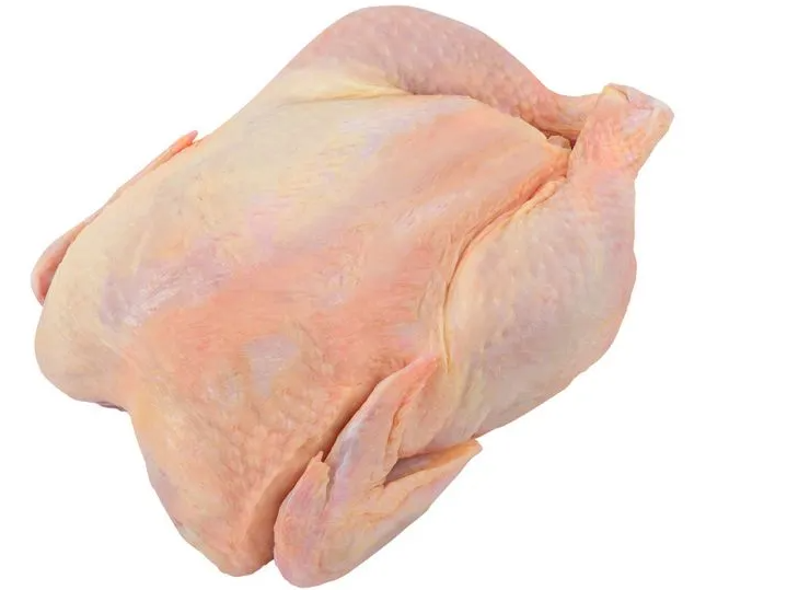 Pollo N10