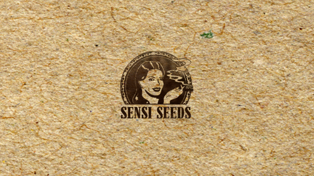 Mundo Semilla SENSI SEED x3