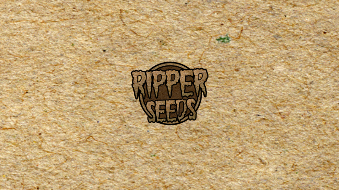 RIPPER SEEDS x3