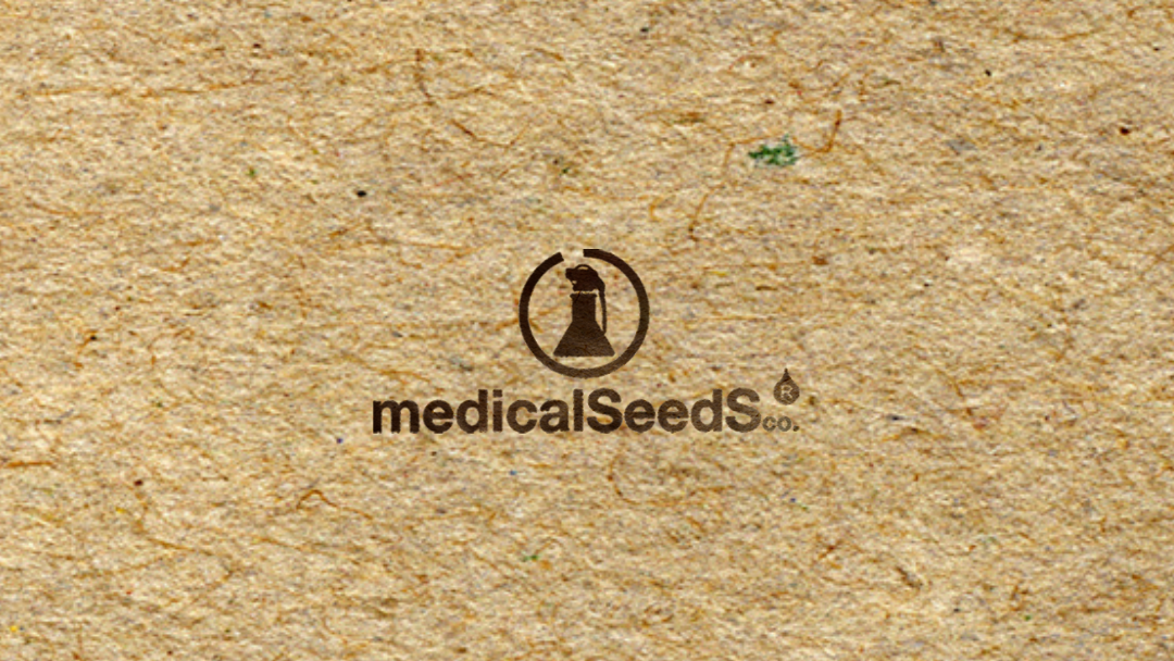 MEDICAL SEEDS x3