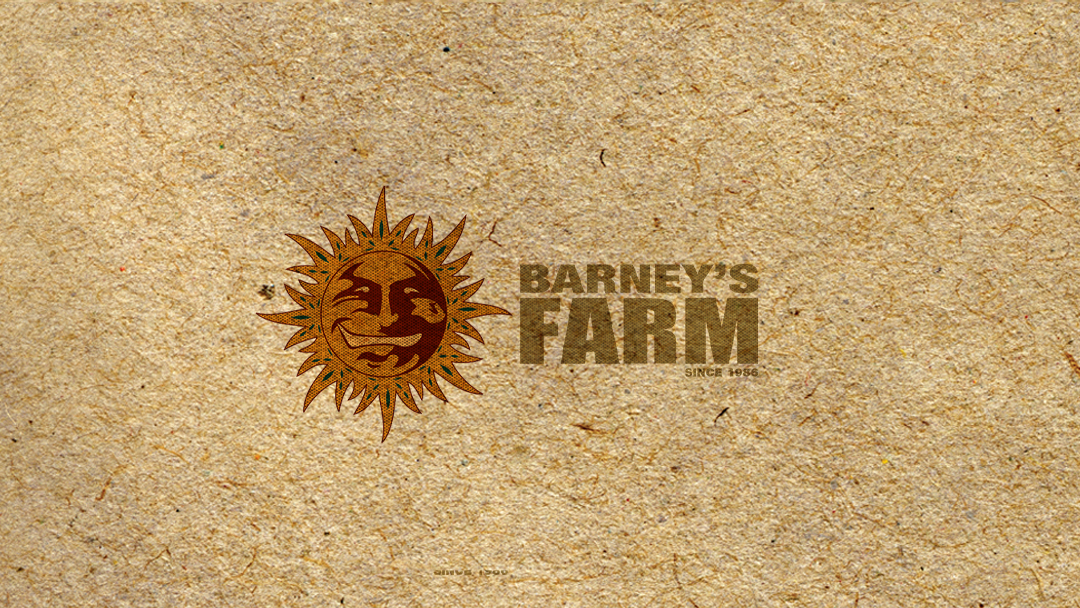 BARNEYS FARM