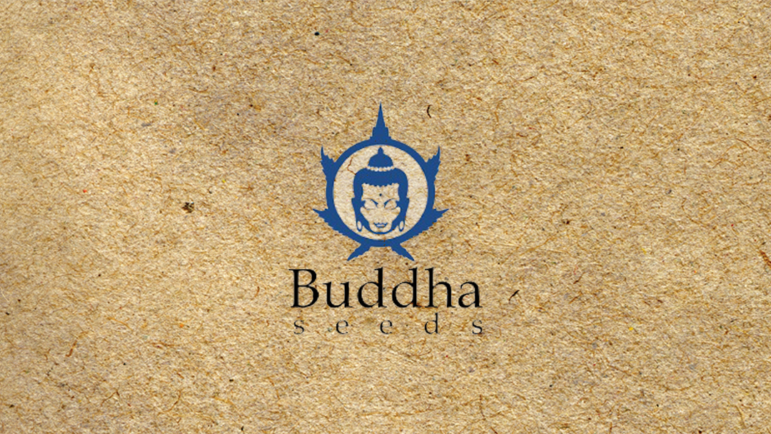 BUDDHA SEEDS