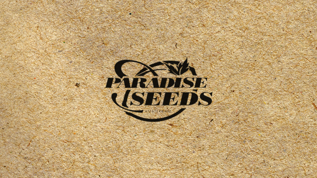 PARADISE SEEDS
