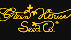 GREEN HOUSE SEEDS
