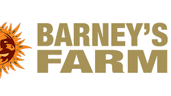 BARNEYS FARM