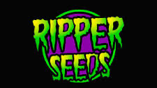 RIPPER SEEDS x3